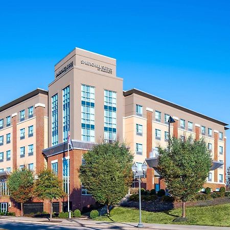 Springhill Suites By Marriott רואנוק מראה חיצוני תמונה