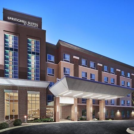 Springhill Suites By Marriott רואנוק מראה חיצוני תמונה