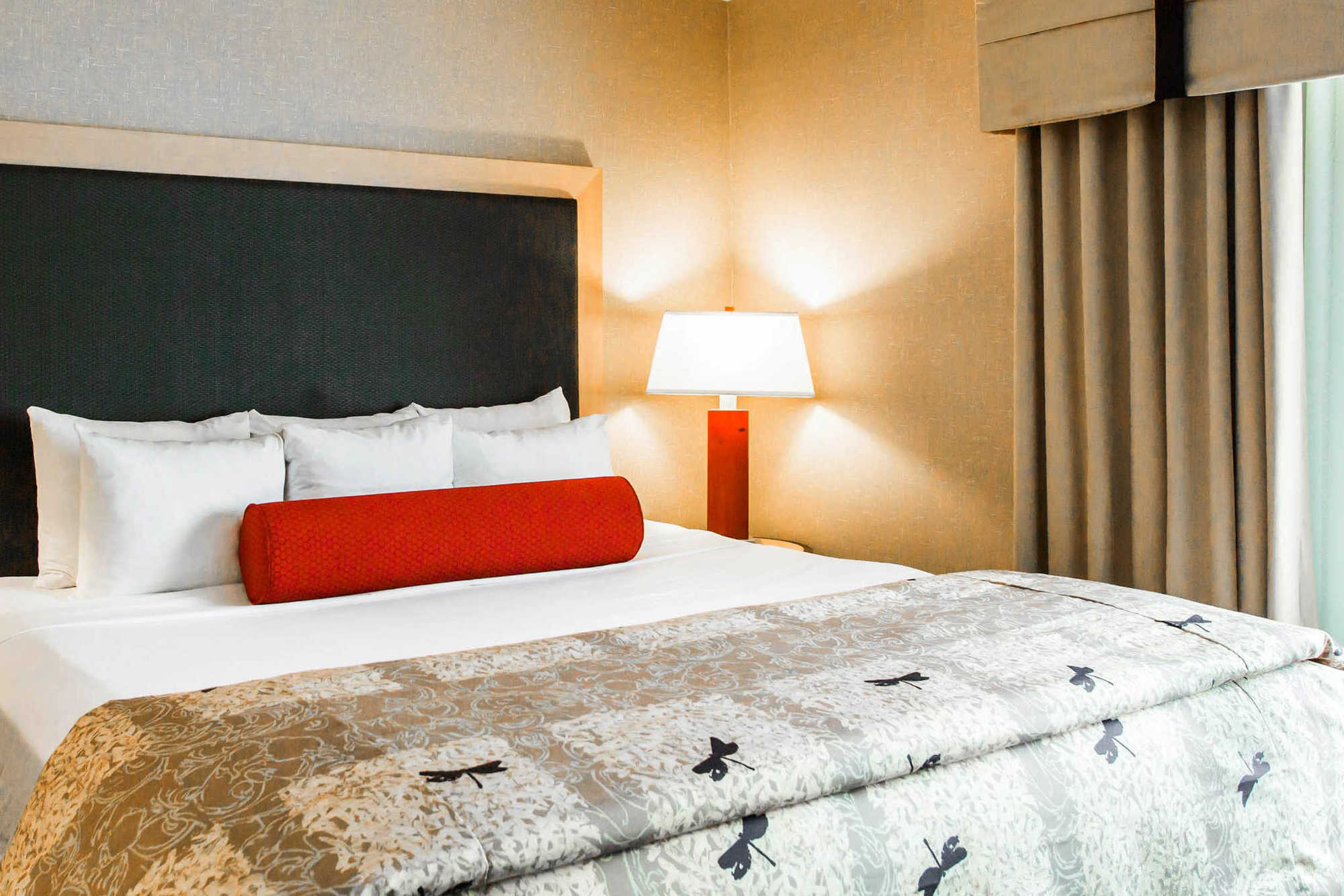 Springhill Suites By Marriott רואנוק חדר תמונה
