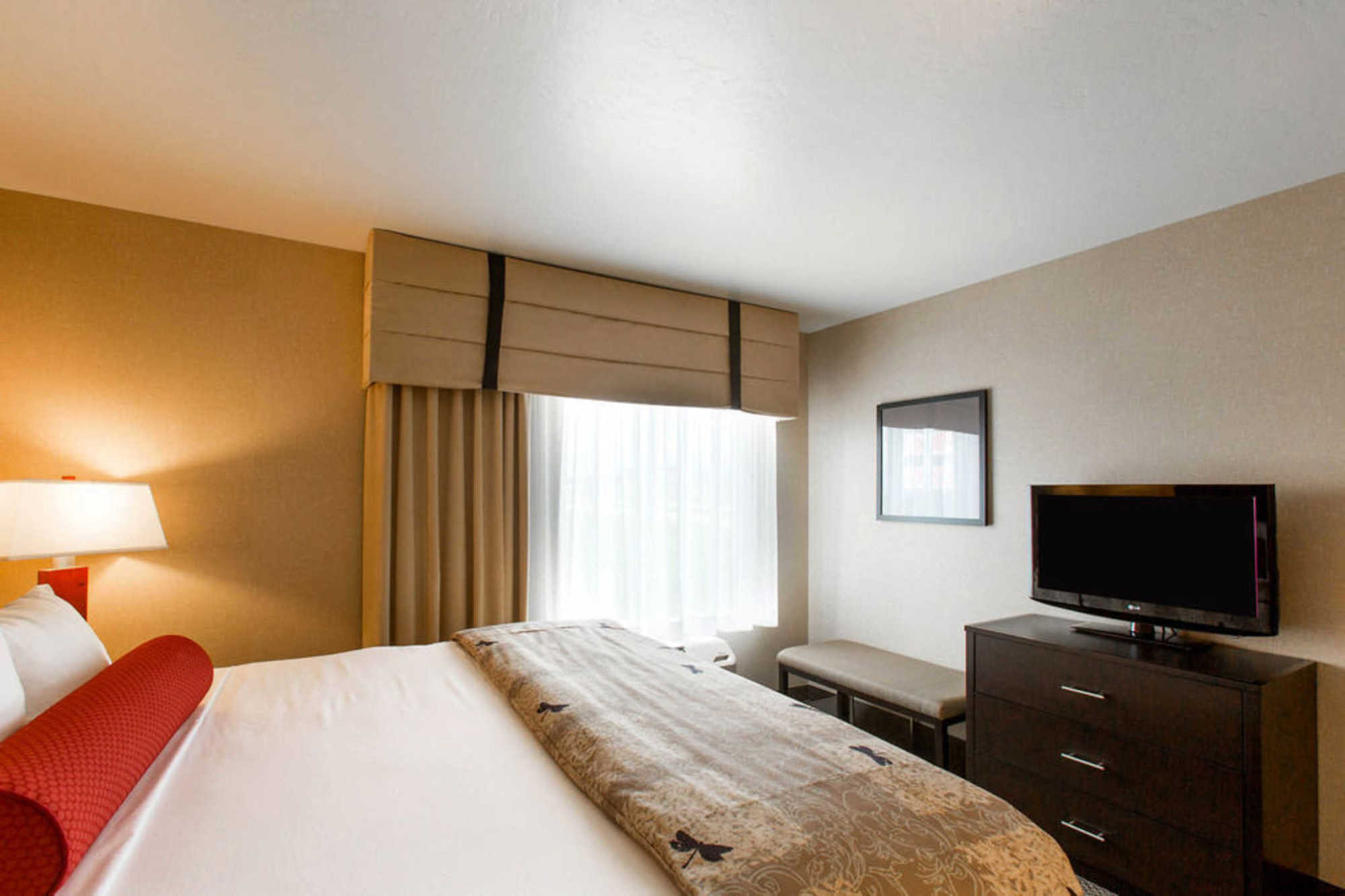 Springhill Suites By Marriott רואנוק חדר תמונה