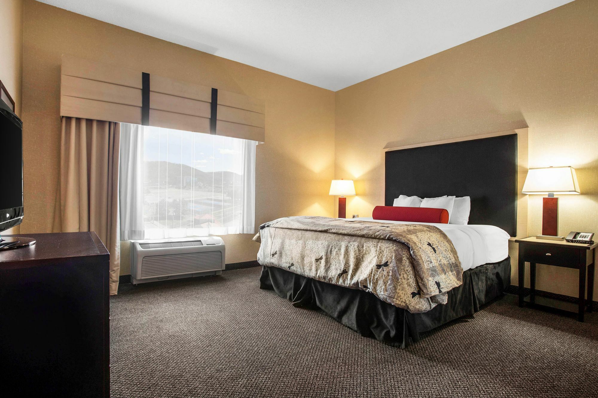 Springhill Suites By Marriott רואנוק מראה חיצוני תמונה