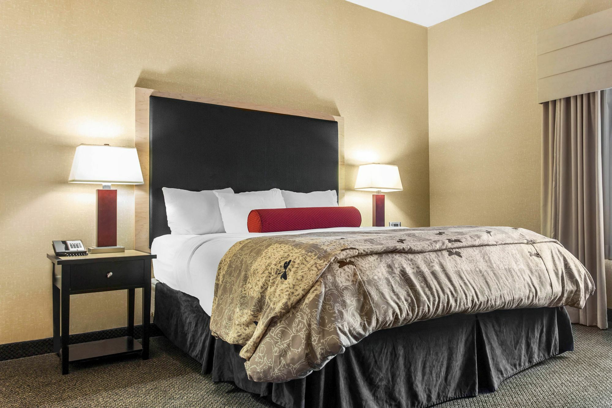 Springhill Suites By Marriott רואנוק מראה חיצוני תמונה