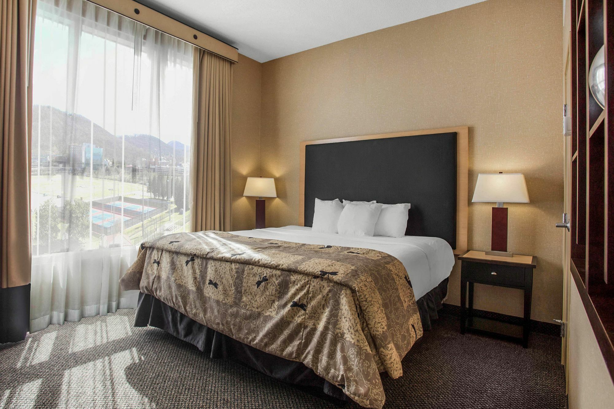 Springhill Suites By Marriott רואנוק מראה חיצוני תמונה