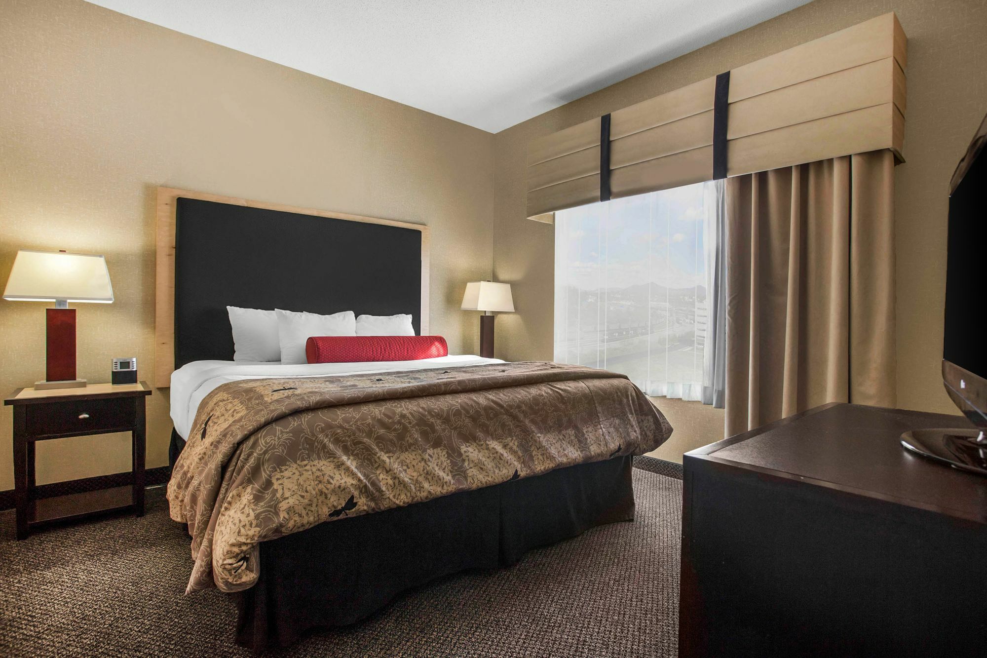 Springhill Suites By Marriott רואנוק מראה חיצוני תמונה