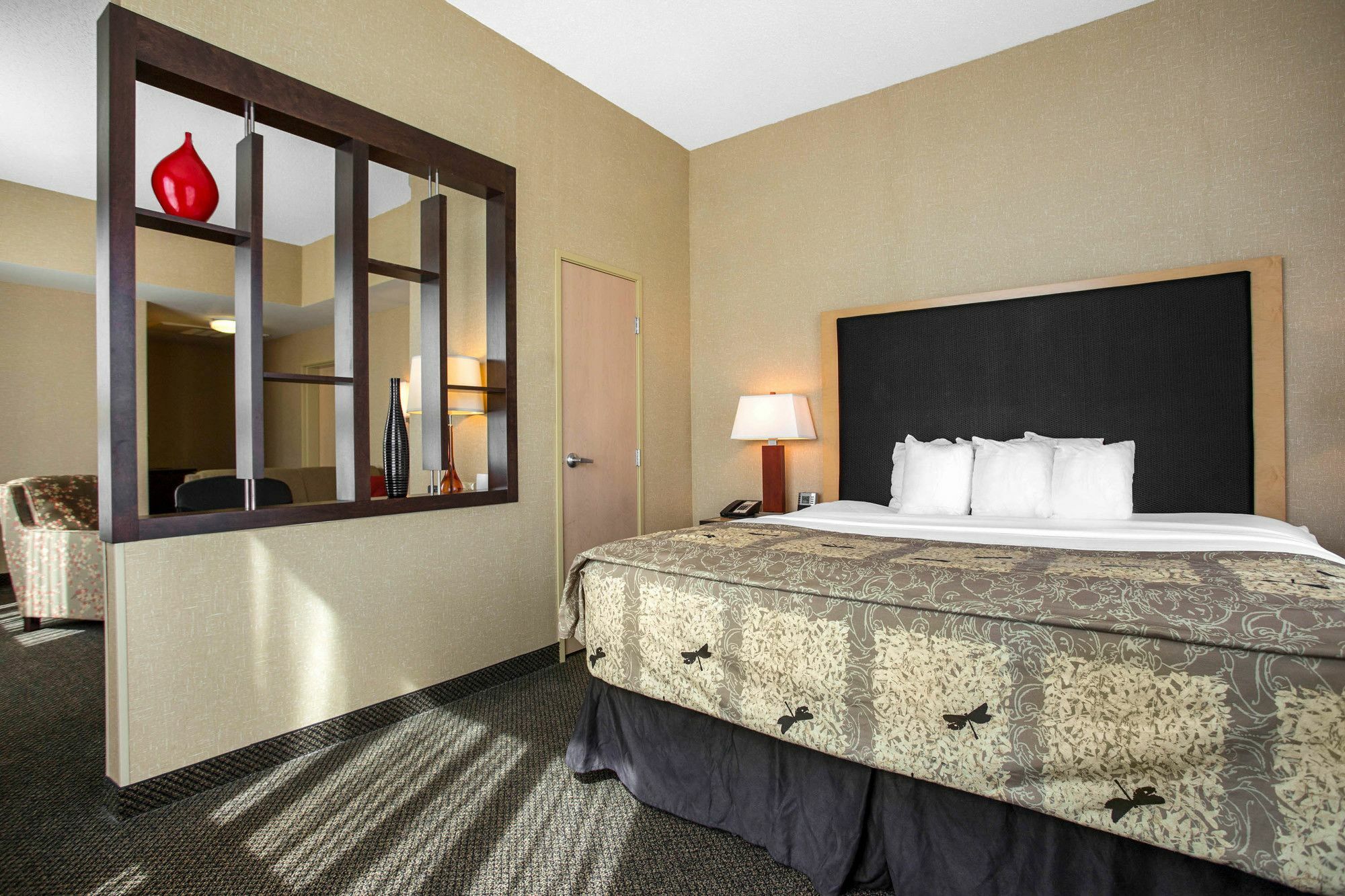 Springhill Suites By Marriott רואנוק מראה חיצוני תמונה
