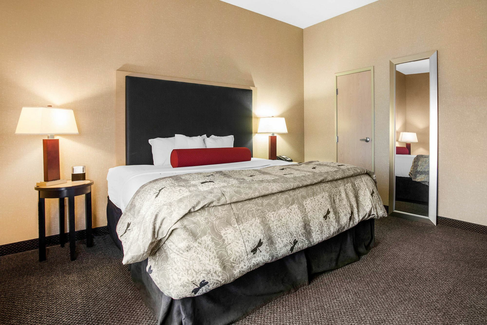Springhill Suites By Marriott רואנוק מראה חיצוני תמונה